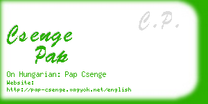 csenge pap business card